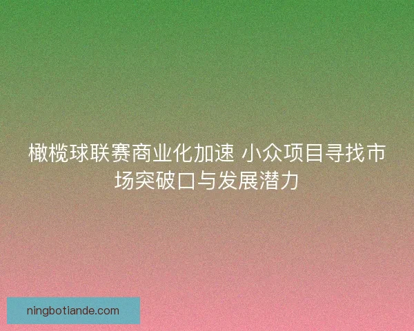 橄榄球联赛商业化加速 小众项目寻找市场突破口与发展潜力