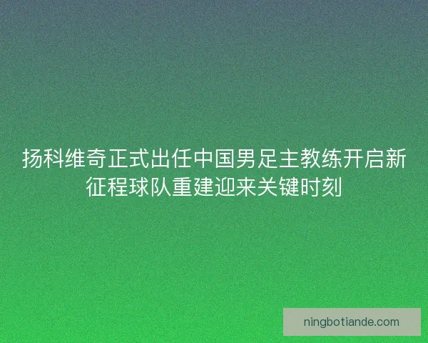 扬科维奇正式出任中国男足主教练开启新征程球队重建迎来关键时刻